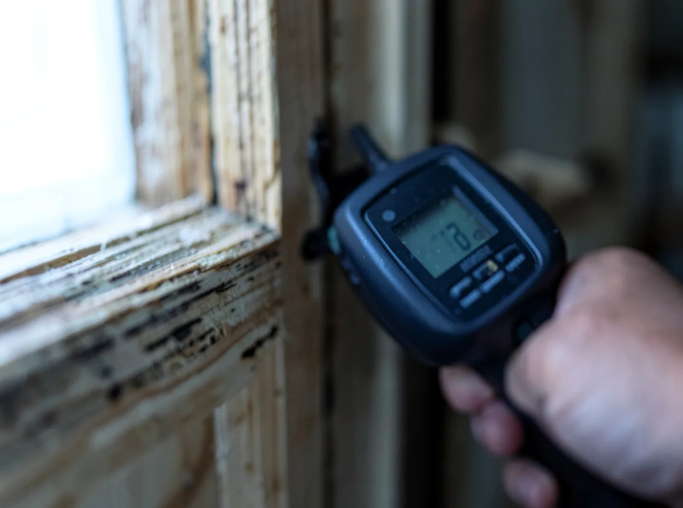 Ceiling Water Damage Repair in Freeburg, MO